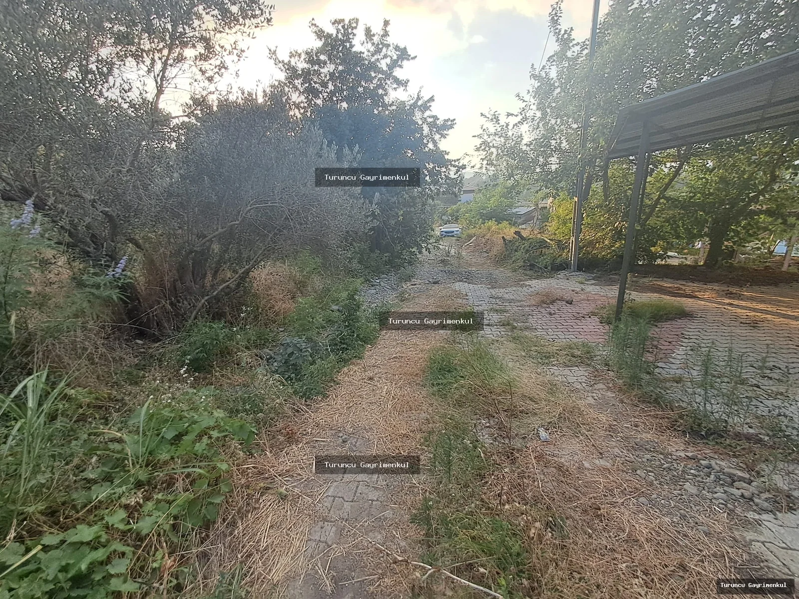 YENİÇAĞ DA YOLA SIFIR SATLIK 400 M2 İMARLI İFRAZLI KÖŞE PARSEL fotoğraf 4