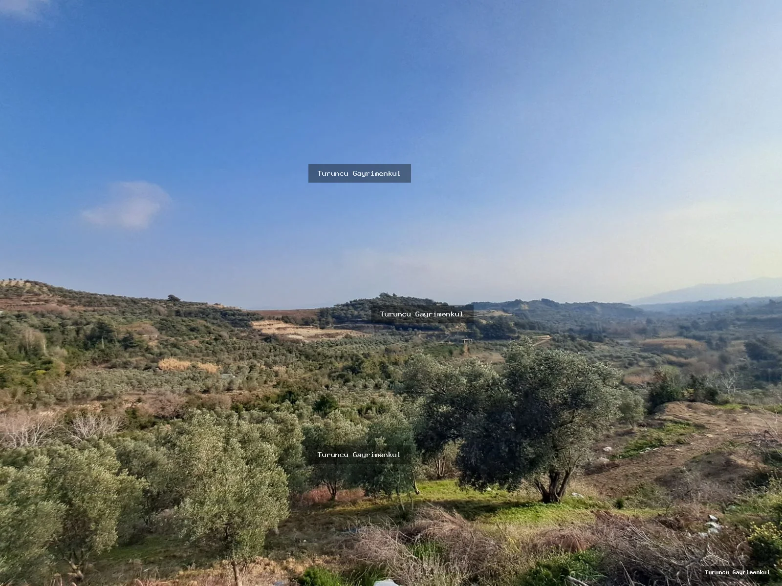 YAYLICADA KÖY EVLERİNİN BİTİŞİĞİ 28762 M2 İMARA SIFIR fotoğraf 15