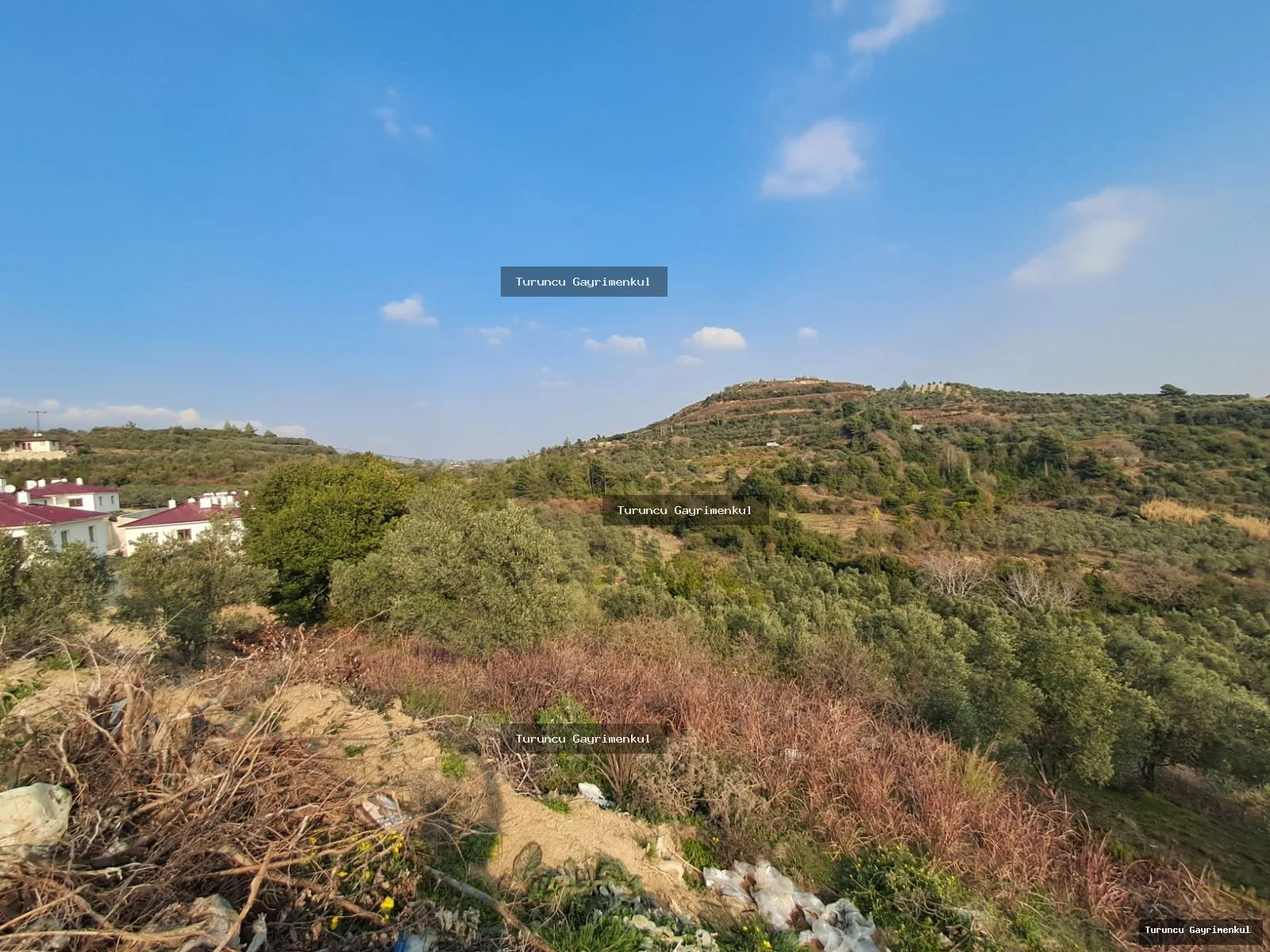 YAYLICADA KÖY EVLERİNİN BİTİŞİĞİ 28762 M2 İMARA SIFIR fotoğraf 24
