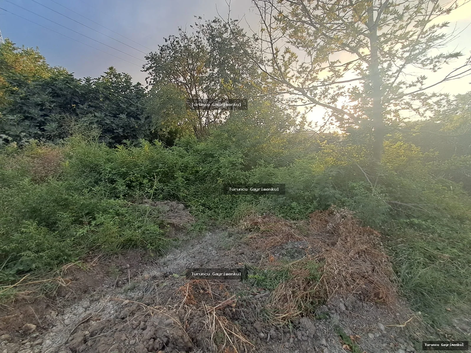 YENİÇAĞ DA YOLA SIFIR SATLIK 400 M2 İMARLI İFRAZLI KÖŞE PARSEL fotoğraf 13