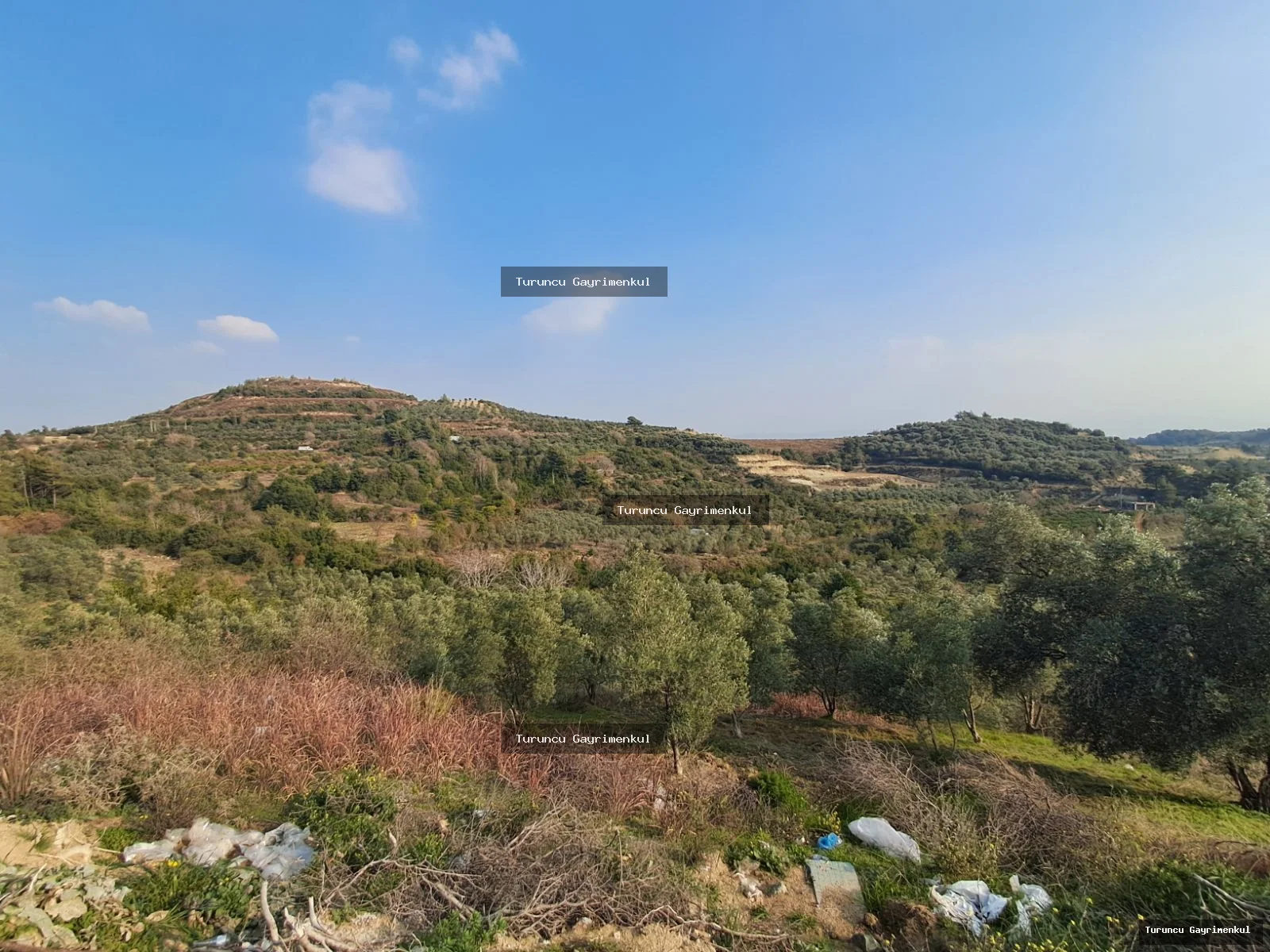YAYLICADA KÖY EVLERİNİN BİTİŞİĞİ 28762 M2 İMARA SIFIR fotoğraf 19