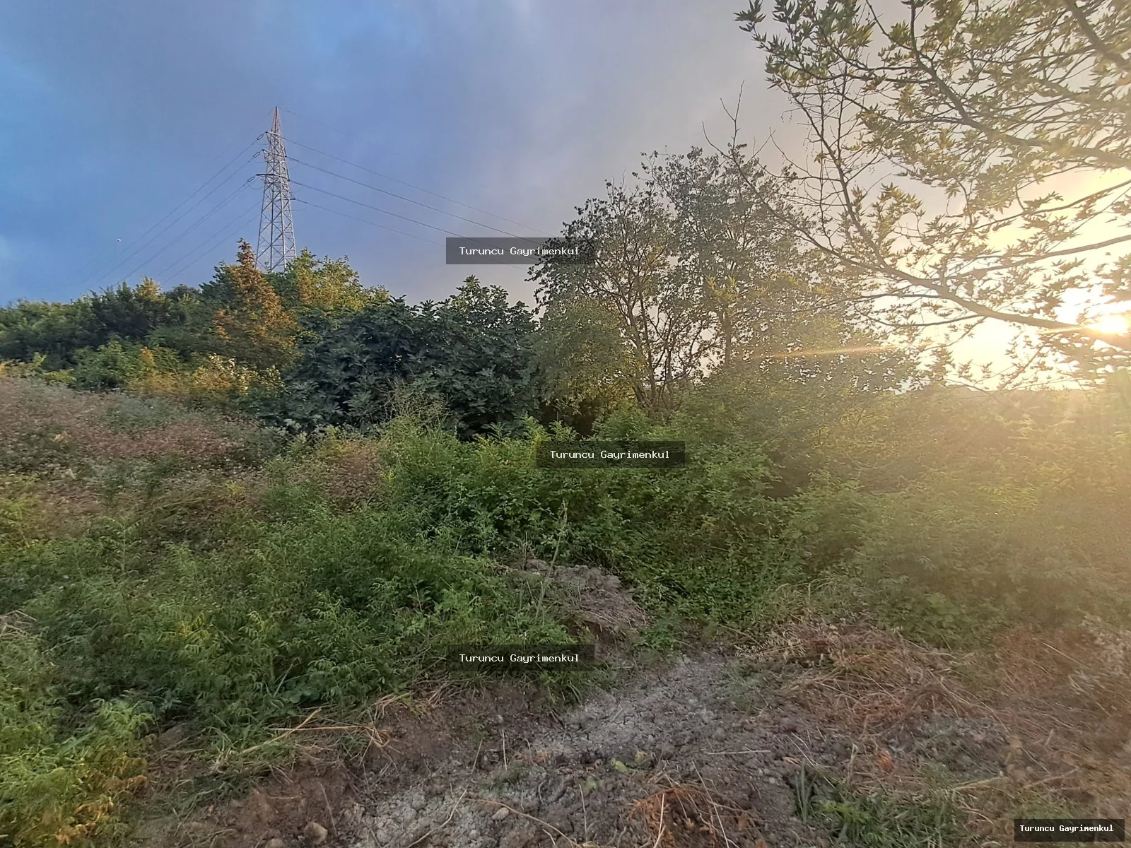 YENİÇAĞ DA YOLA SIFIR SATLIK 400 M2 İMARLI İFRAZLI KÖŞE PARSEL fotoğraf 6