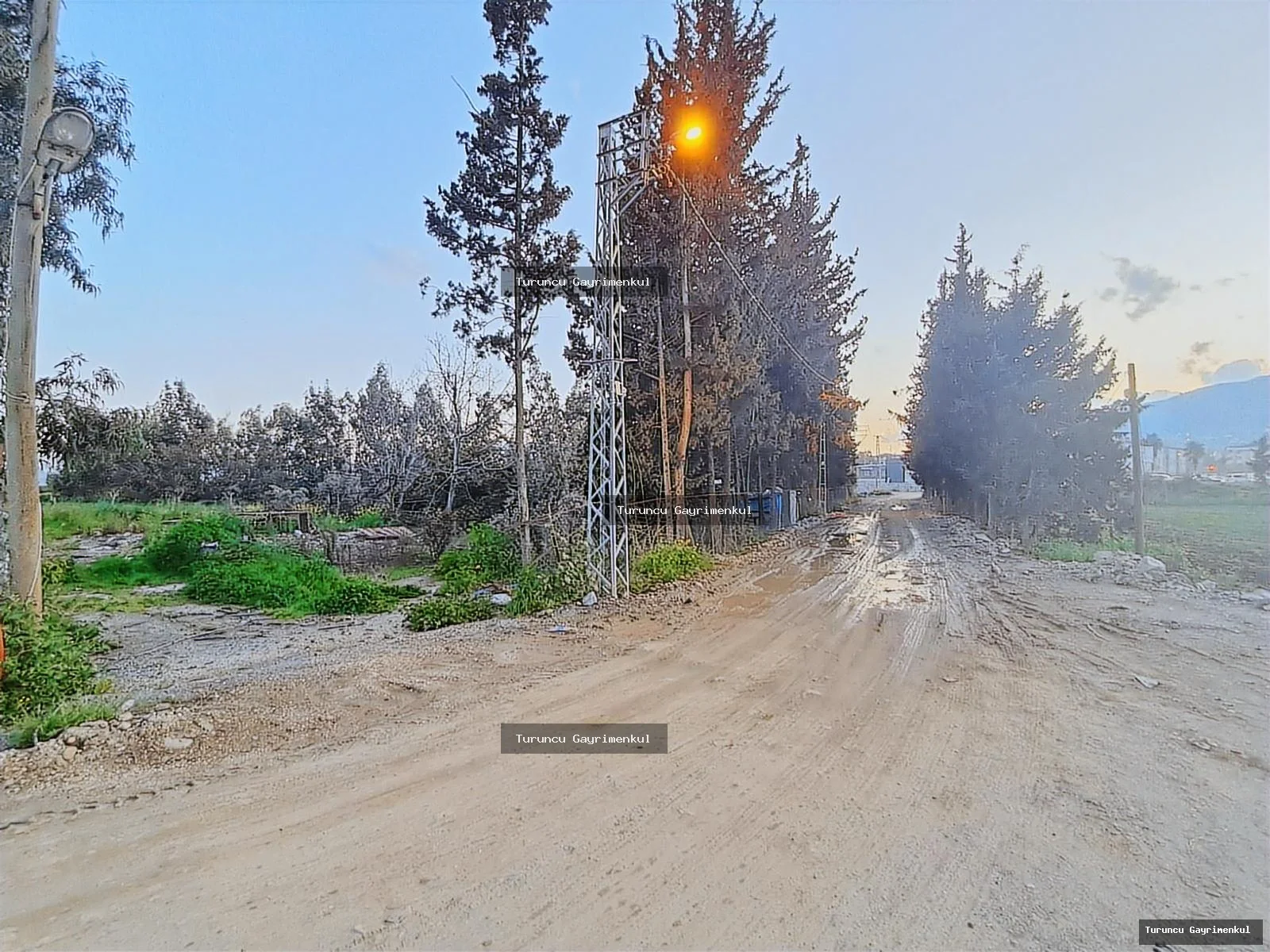 MİRA MARKET KARŞISI MKÜ KAMPÜS KAVŞAĞINDA KİRALIK 7 DÖNÜM fotoğraf 6