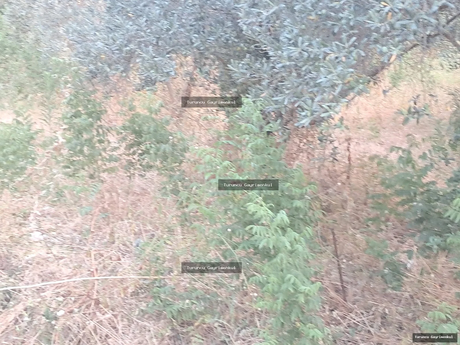 YENİÇAĞ DA YOLA SIFIR SATLIK 400 M2 İMARLI İFRAZLI KÖŞE PARSEL fotoğraf 20