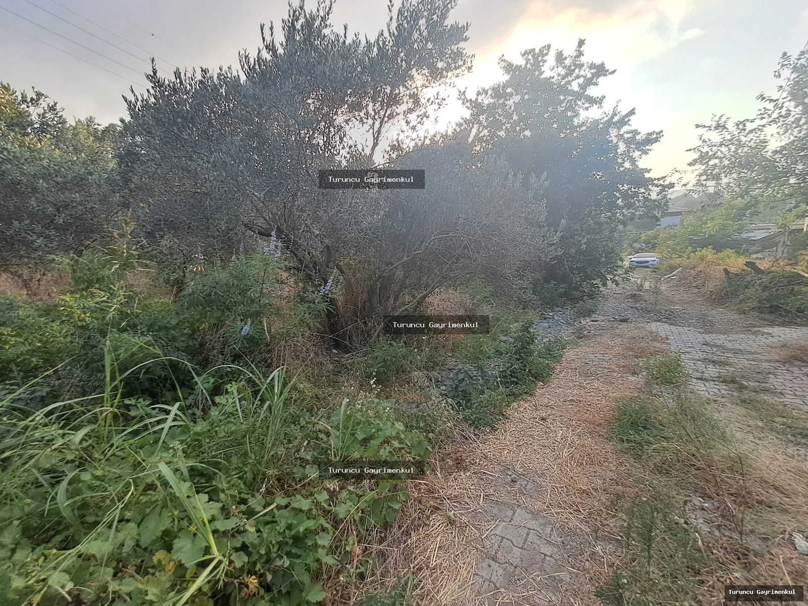 YENİÇAĞ DA YOLA SIFIR SATLIK 400 M2 İMARLI İFRAZLI KÖŞE PARSEL fotoğraf 24