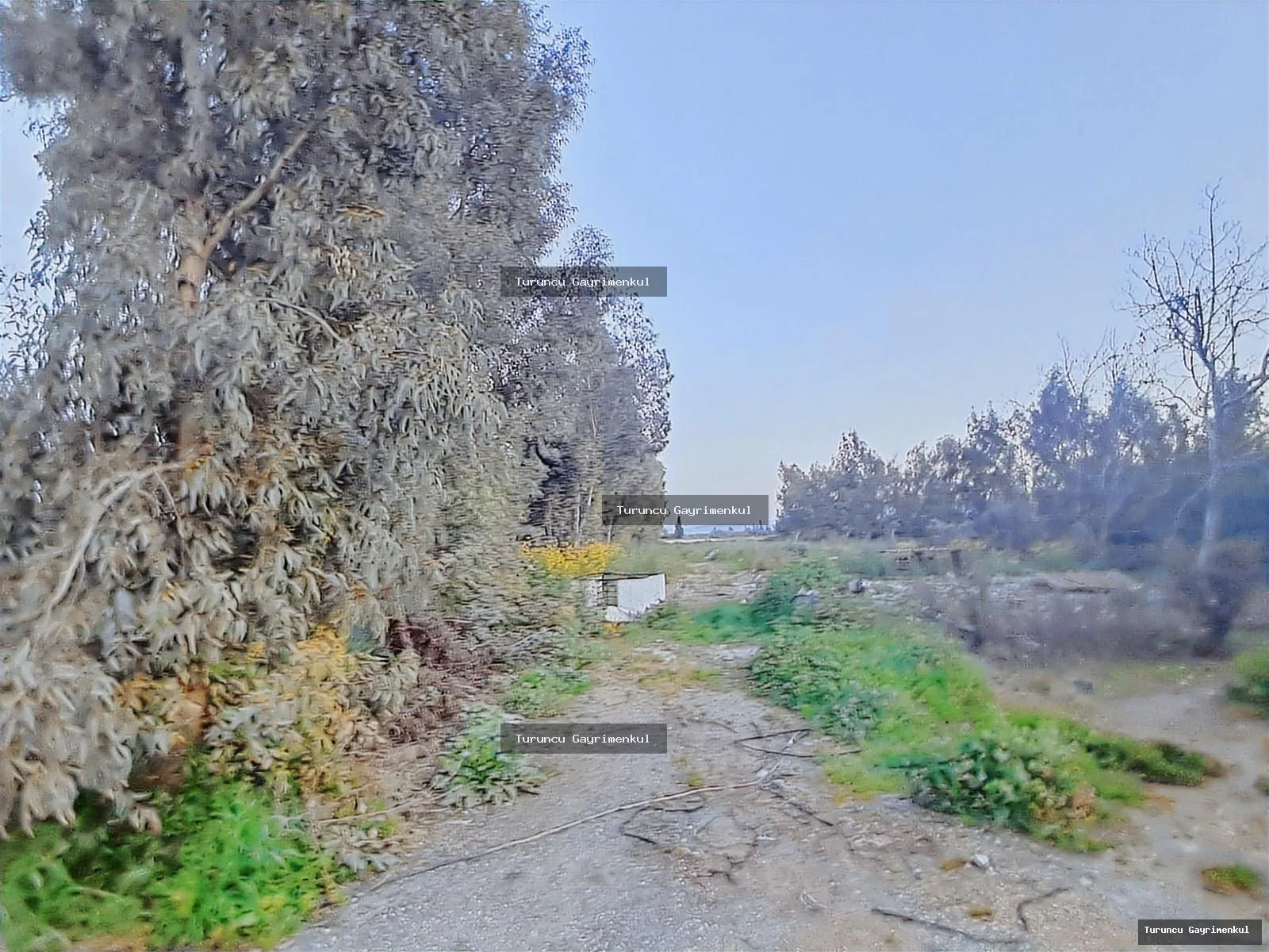 MİRA MARKET KARŞISI MKÜ KAMPÜS KAVŞAĞINDA KİRALIK 7 DÖNÜM fotoğraf 10