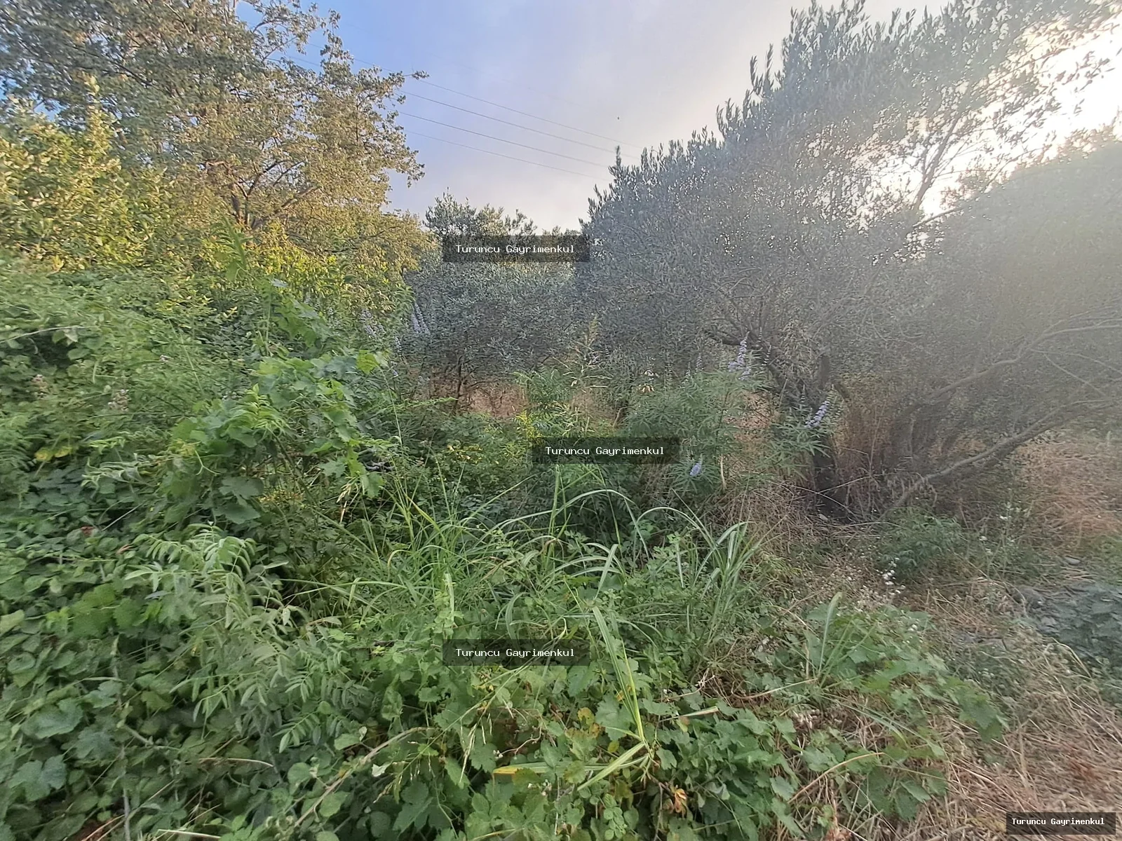 YENİÇAĞ DA YOLA SIFIR SATLIK 400 M2 İMARLI İFRAZLI KÖŞE PARSEL fotoğraf 26
