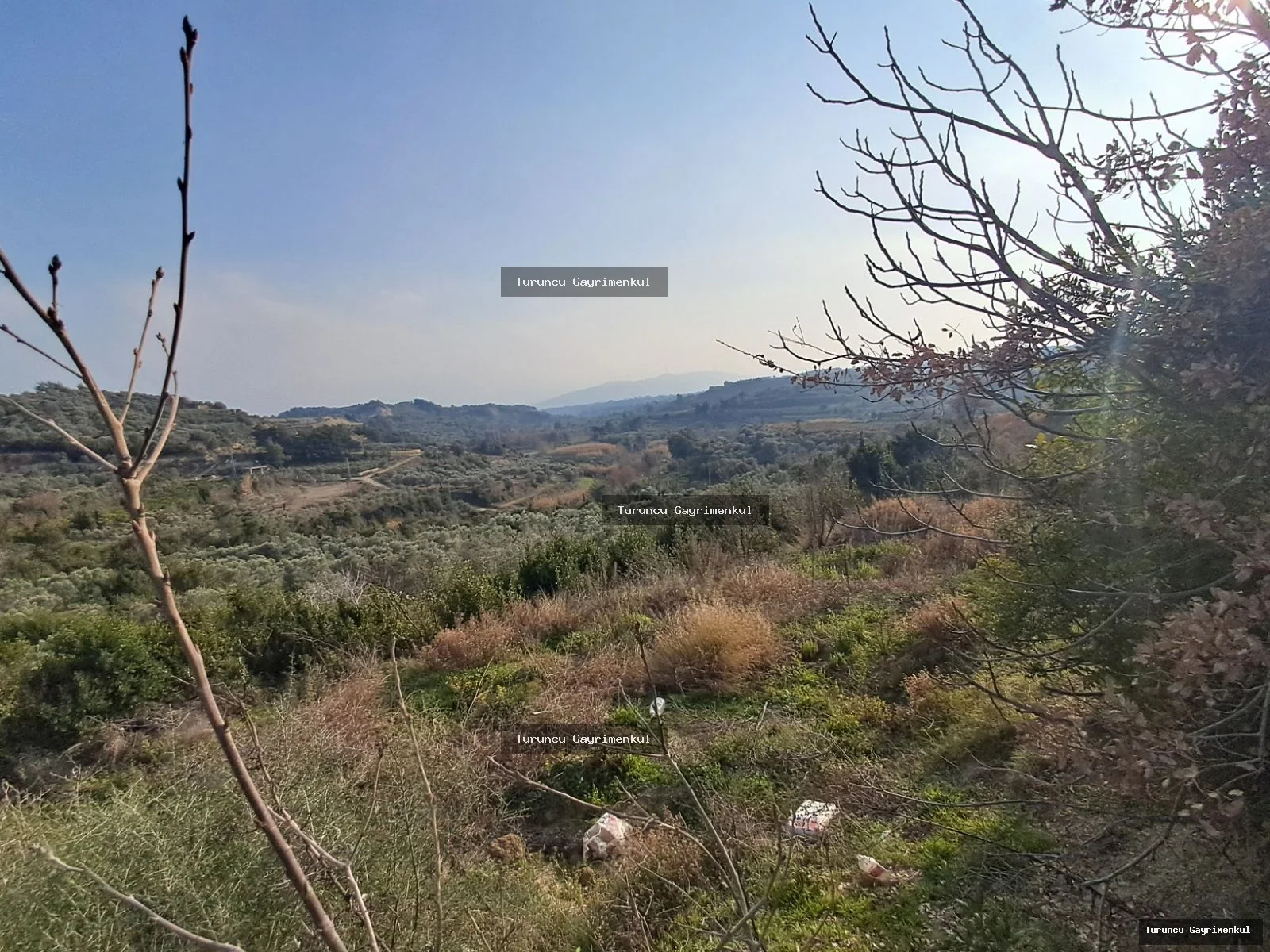 YAYLICADA KÖY EVLERİNİN BİTİŞİĞİ 28762 M2 İMARA SIFIR fotoğraf 30