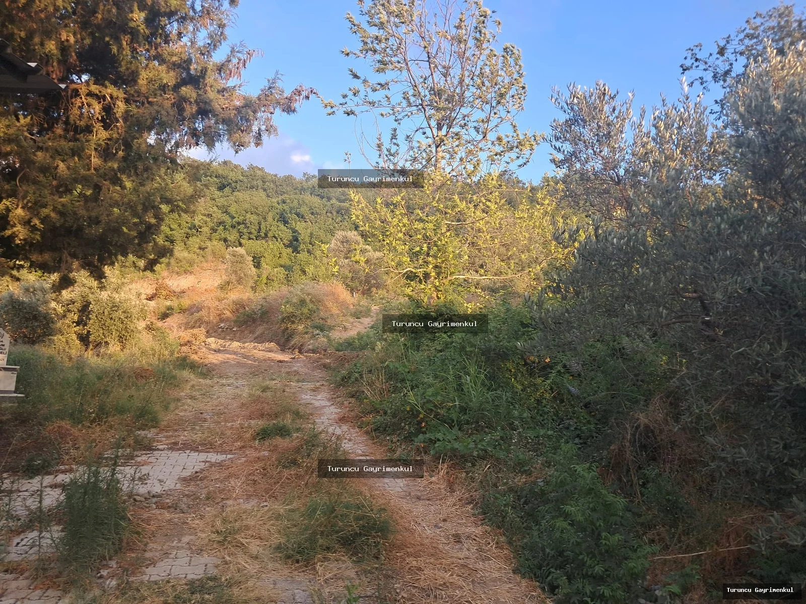 YENİÇAĞ DA YOLA SIFIR SATLIK 400 M2 İMARLI İFRAZLI KÖŞE PARSEL fotoğraf 2