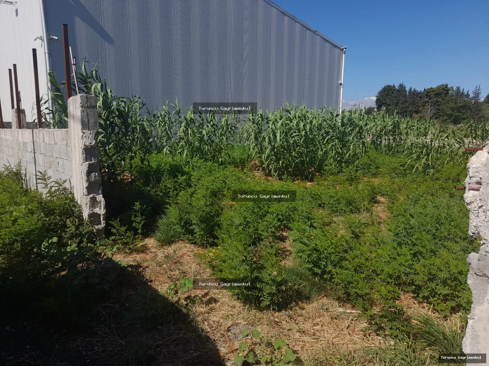 HASTANE IŞIKLARINA 500 M2 UZAKLIKTA KİRALIK 420 M2 yıllık 125bin fotoğraf 4