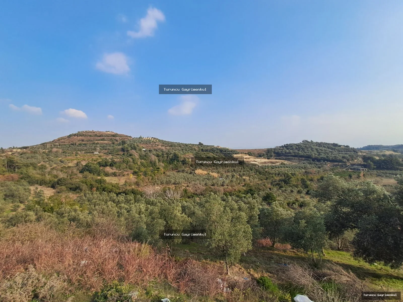 YAYLICADA KÖY EVLERİNİN BİTİŞİĞİ 28762 M2 İMARA SIFIR fotoğraf 35