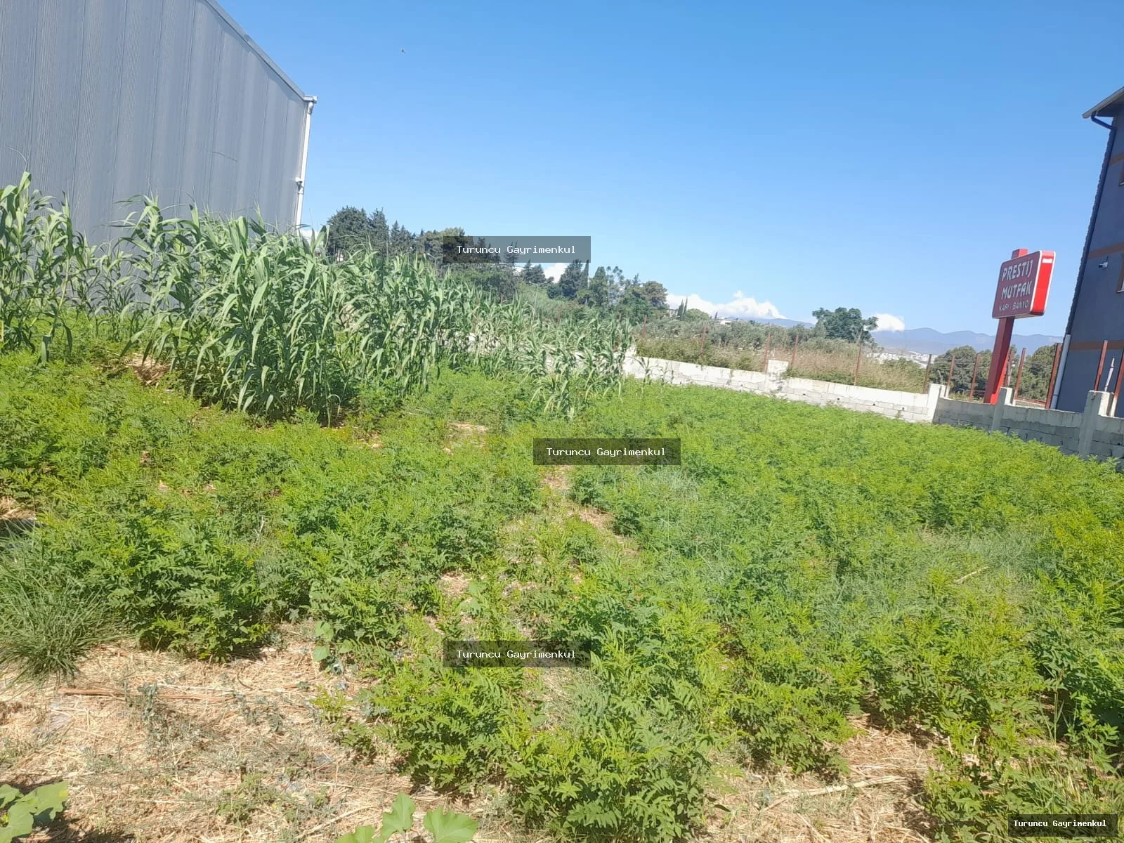 HASTANE IŞIKLARINA 500 M2 UZAKLIKTA KİRALIK 420 M2 yıllık 125bin fotoğraf 6