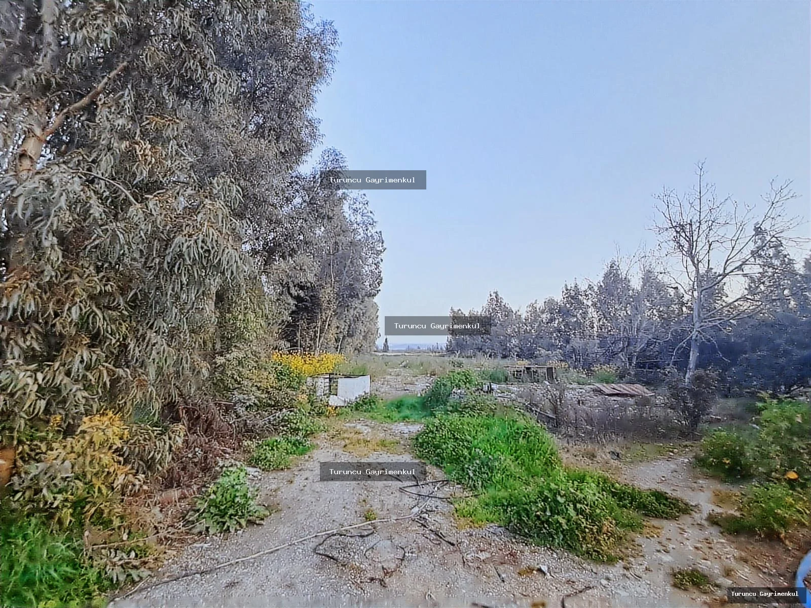 MİRA MARKET KARŞISI MKÜ KAMPÜS KAVŞAĞINDA KİRALIK 7 DÖNÜM fotoğraf 4