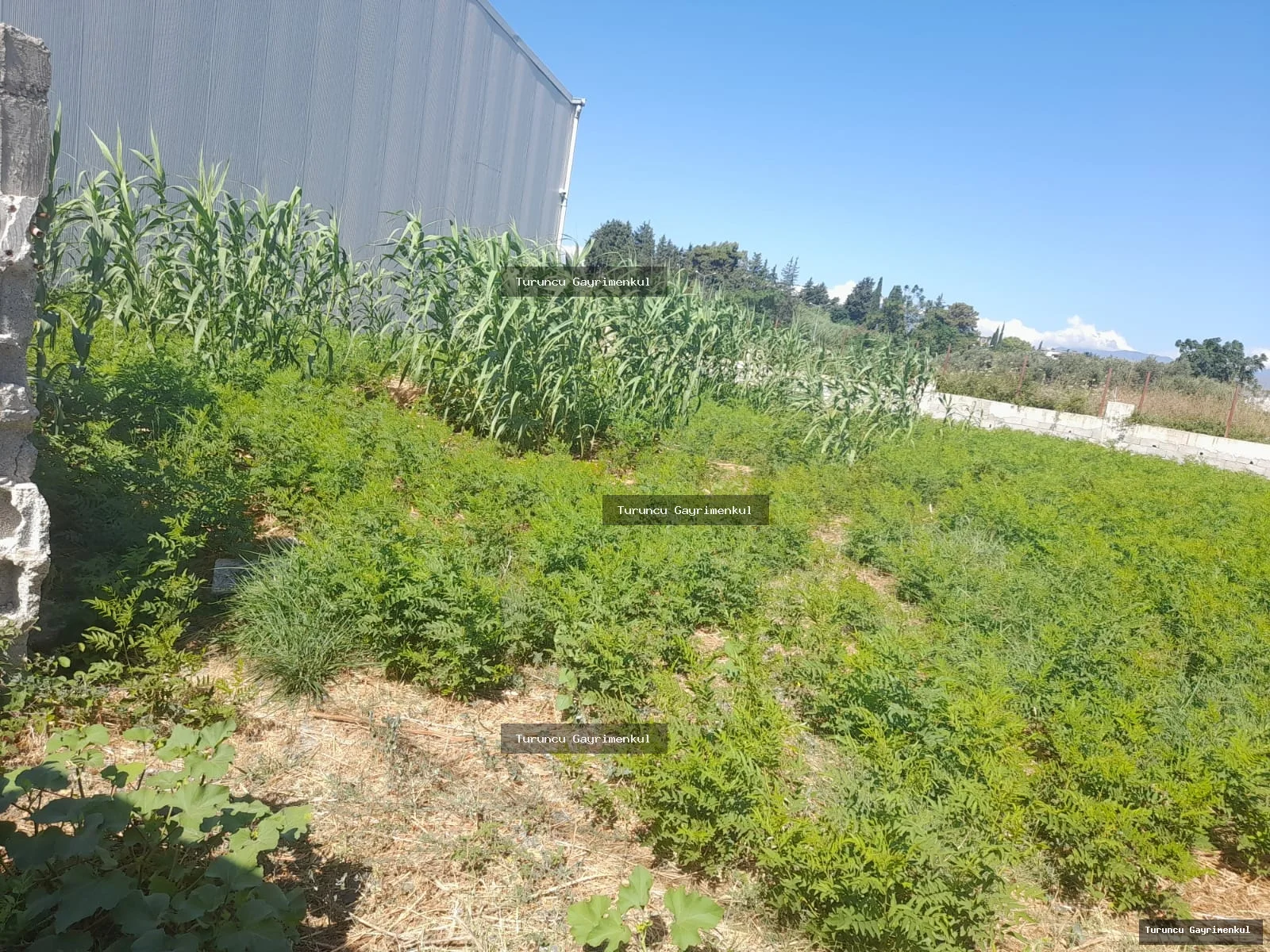 HASTANE IŞIKLARINA 500 M2 UZAKLIKTA KİRALIK 420 M2 yıllık 125bin fotoğraf 10