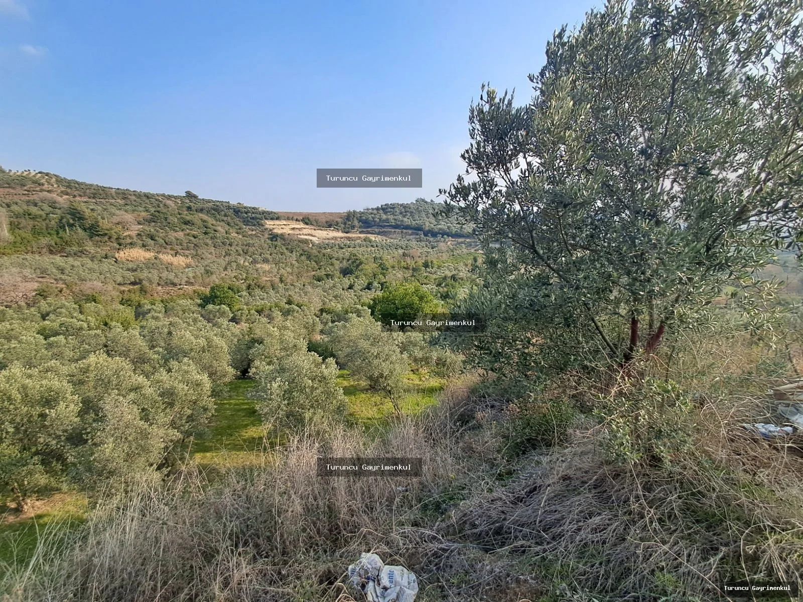 YAYLICADA KÖY EVLERİNİN BİTİŞİĞİ 28762 M2 İMARA SIFIR fotoğraf 25