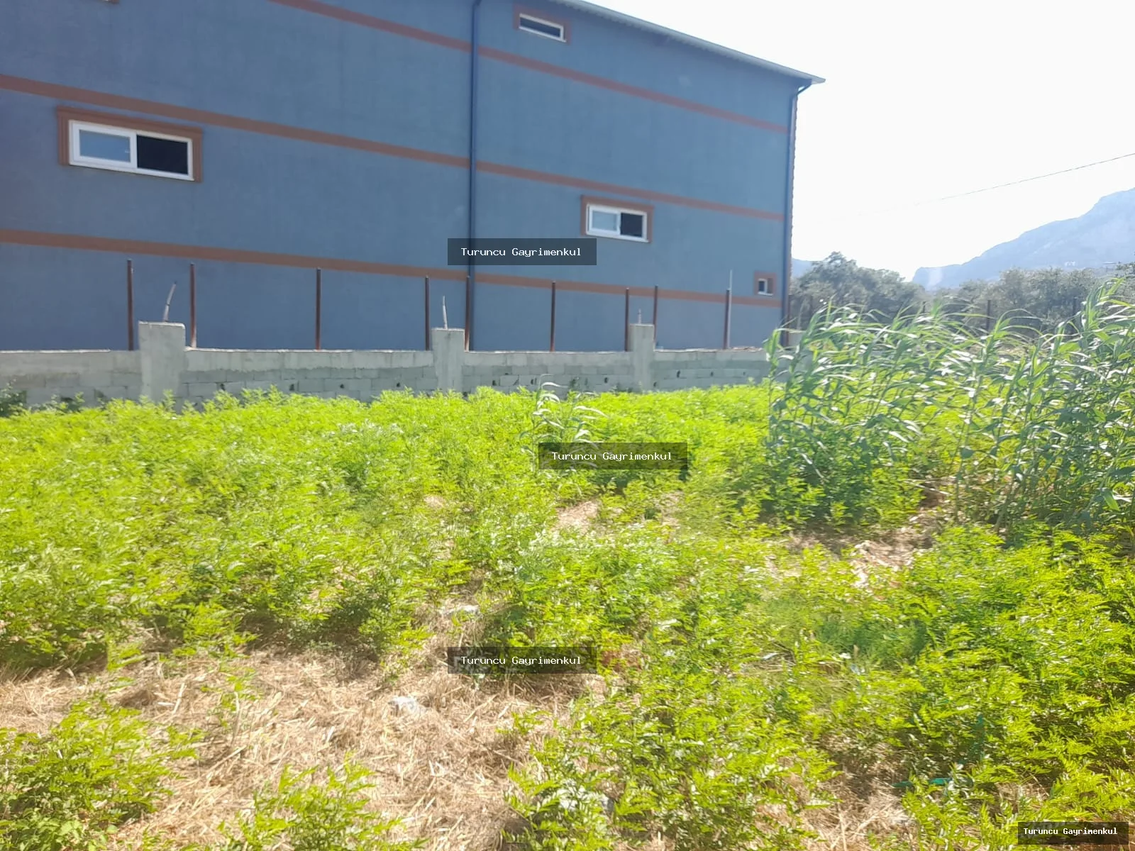 HASTANE IŞIKLARINA 500 M2 UZAKLIKTA KİRALIK 420 M2 yıllık 125bin fotoğraf 11