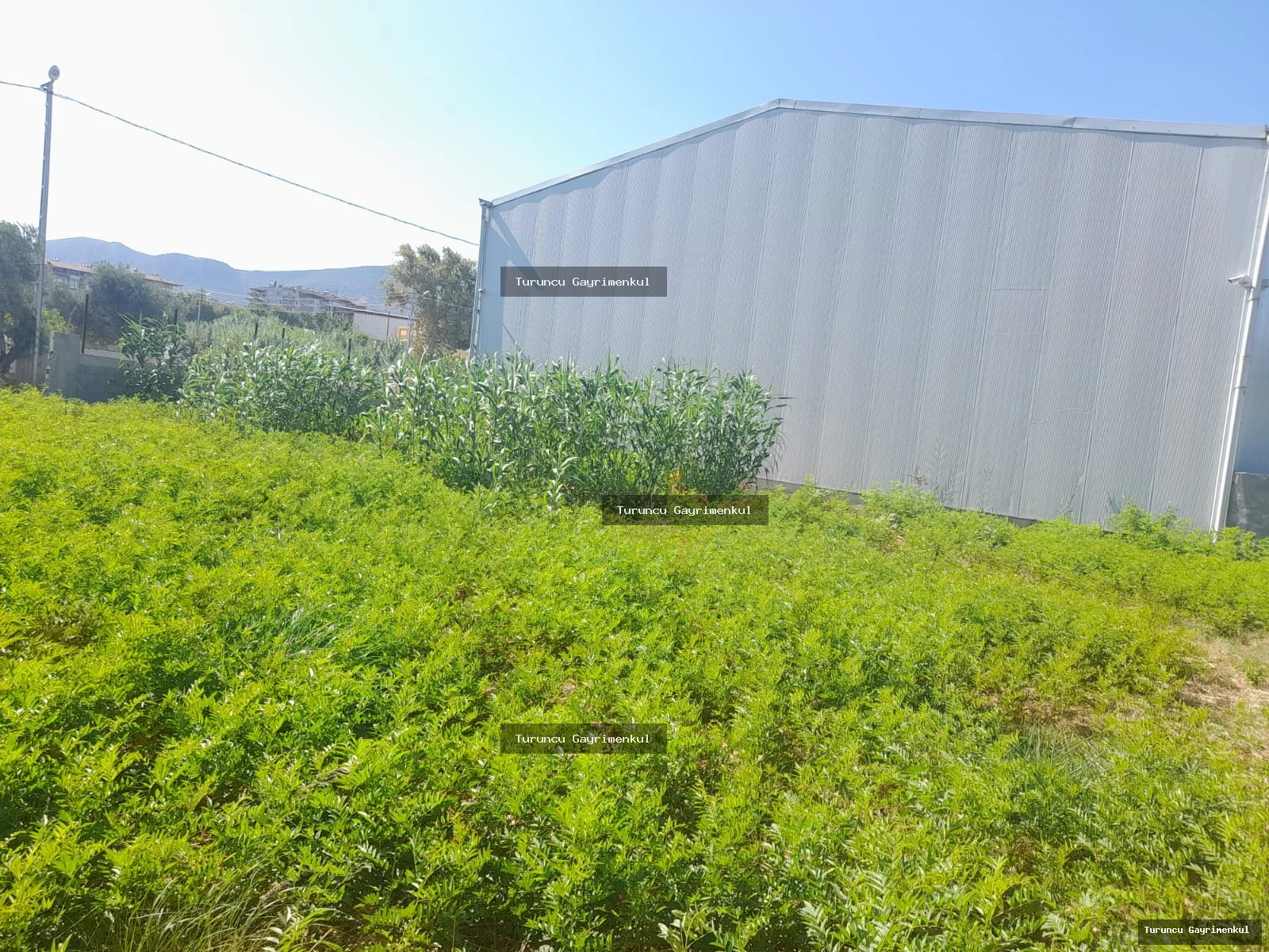 HASTANE IŞIKLARINA 500 M2 UZAKLIKTA KİRALIK 420 M2 yıllık 125bin fotoğraf 14